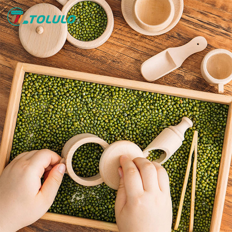 Tolulo Montessori Eğitim Oyuncakları hakkında ne kadar biliyorsunuz?